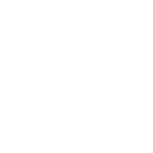 business report 8155068